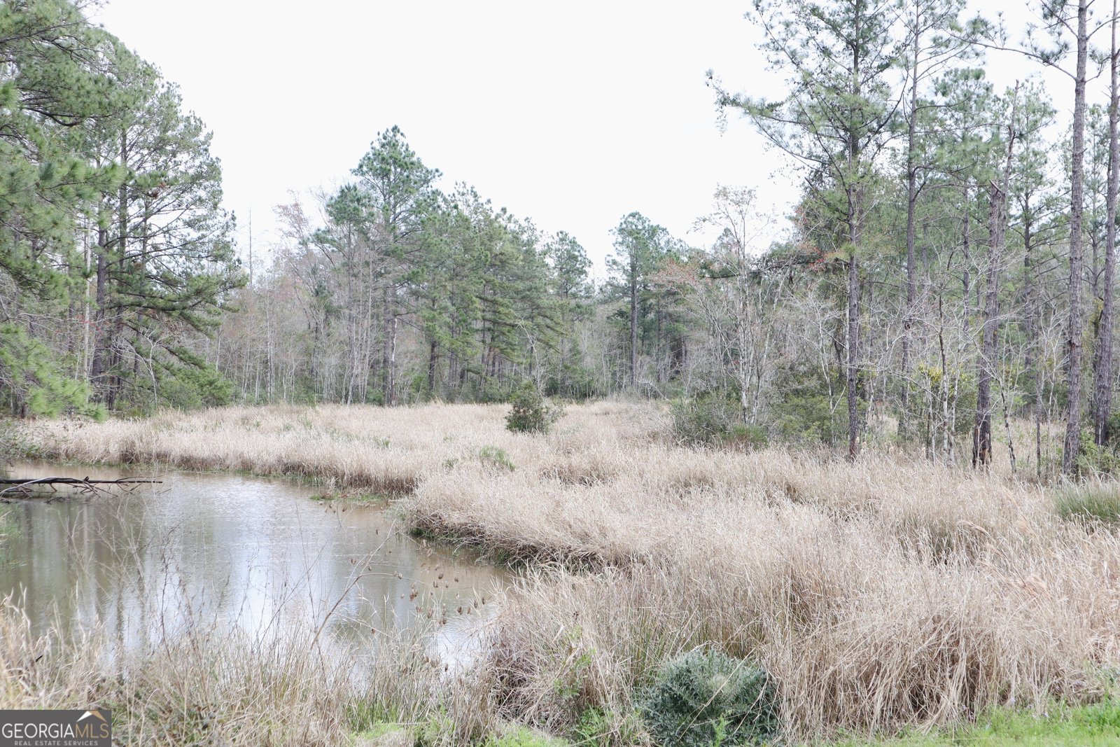 209 Sugar Maple Way Kingsland - Photo 29