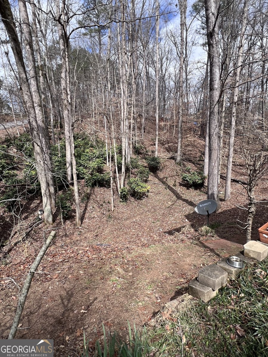 315 Magnolia Drive Canton - Photo 12