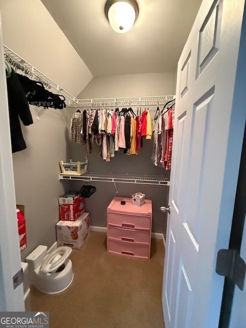 290 Eli Knob Road Cleveland - Photo 27