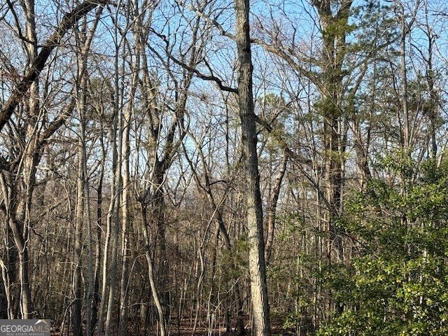 290 Eli Knob Road Cleveland - Photo 40