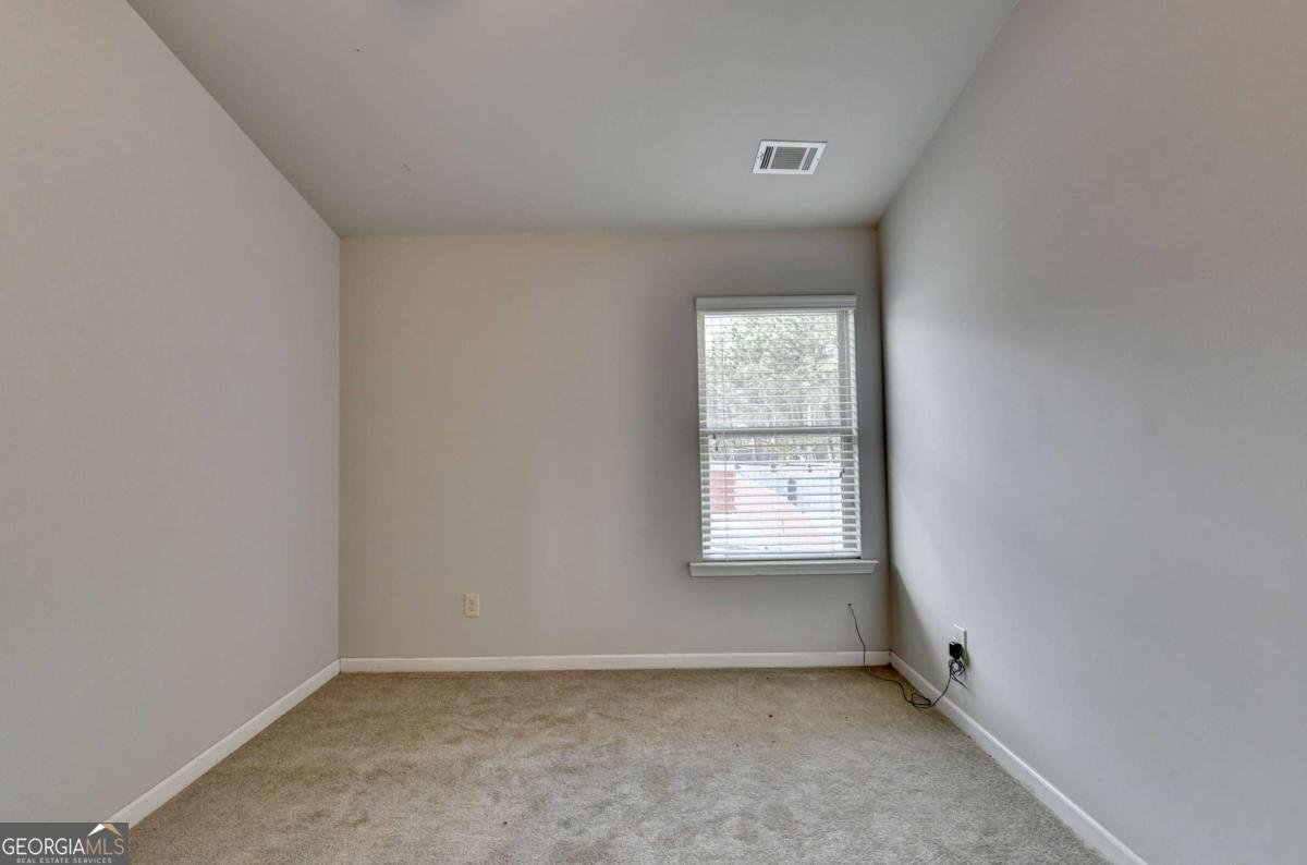 115 Brushed Ives Court Lawrenceville - Photo 43