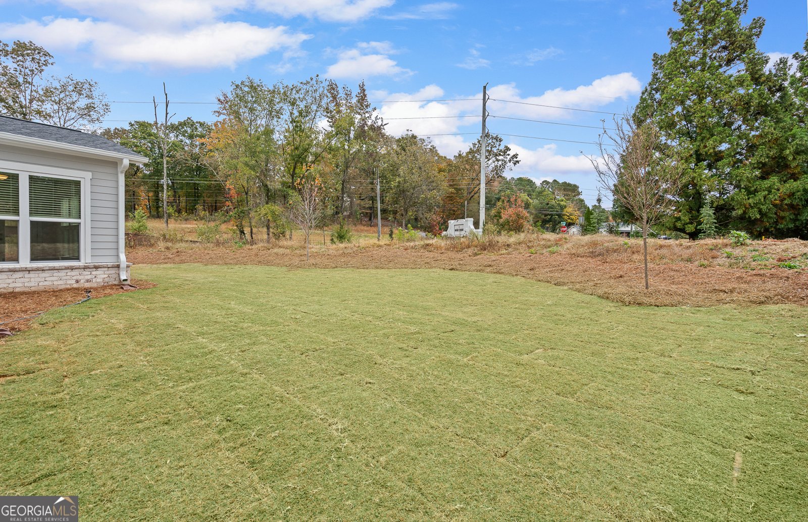 4905 Rosarian Drive Cumming - Photo 12