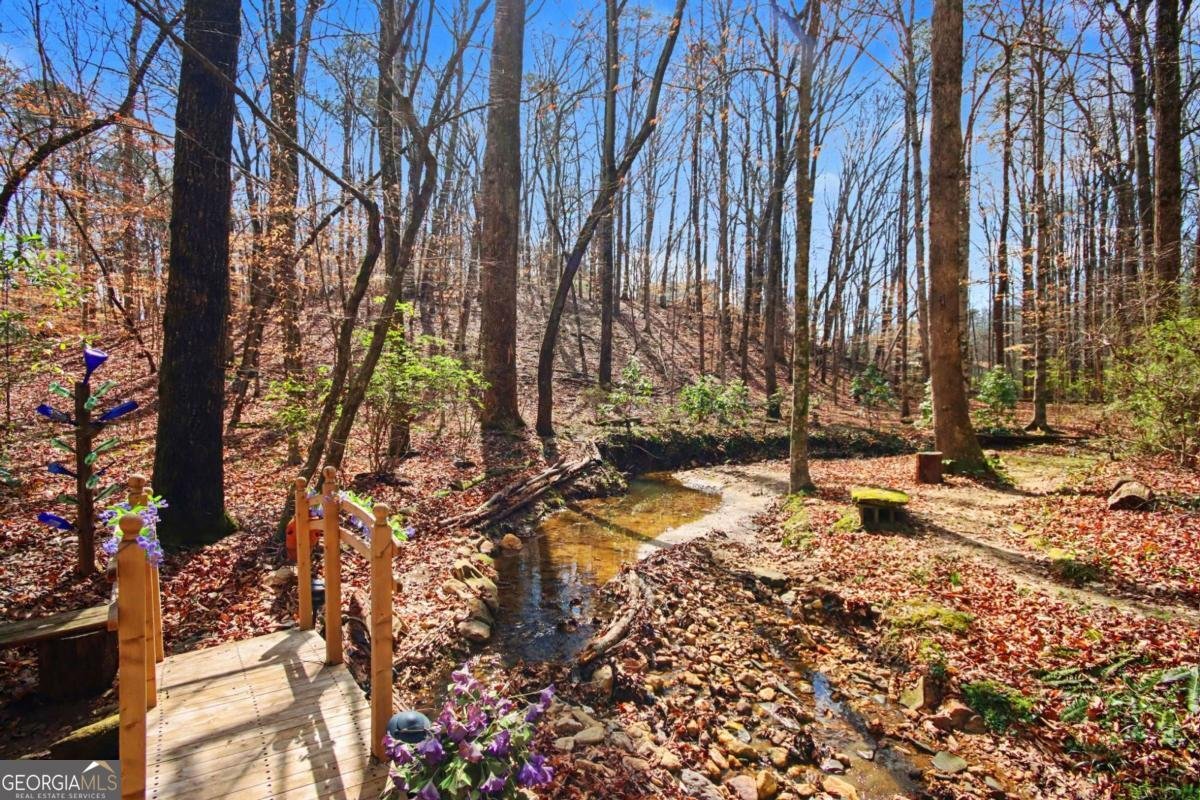 3707 Fowler Ridge Douglasville - Photo 37