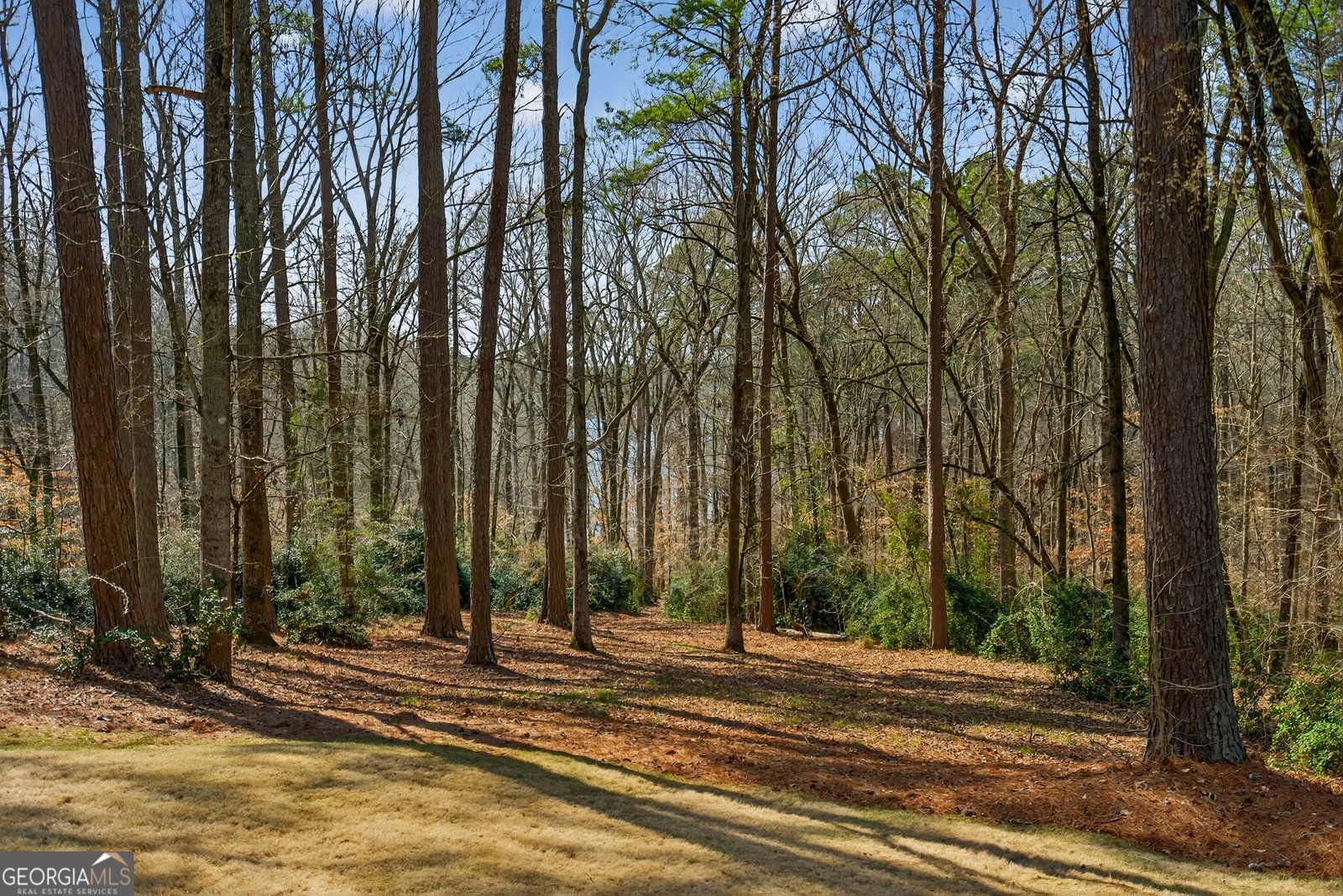 2005 Foxcroft Drive Lagrange - Photo 63