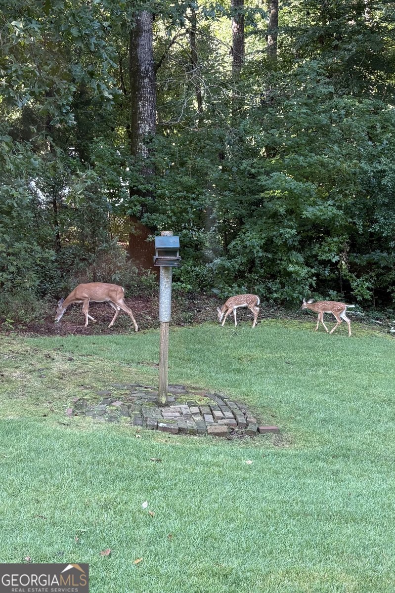 2005 Foxcroft Drive Lagrange - Photo 64