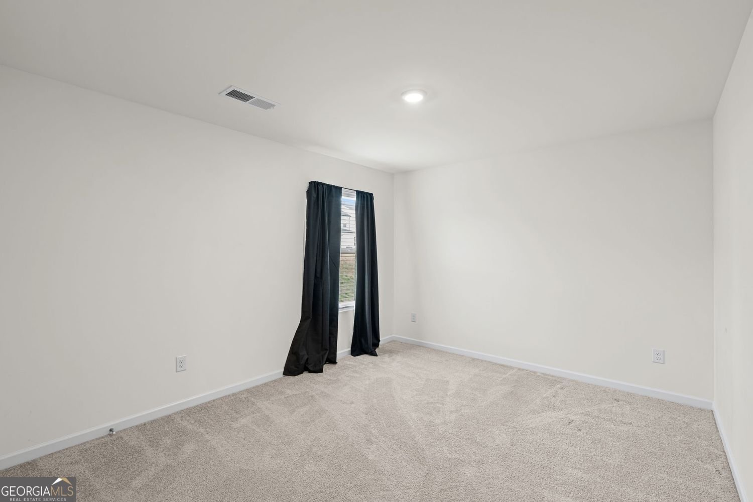 166 Champlain Road Hoschton - Photo 36