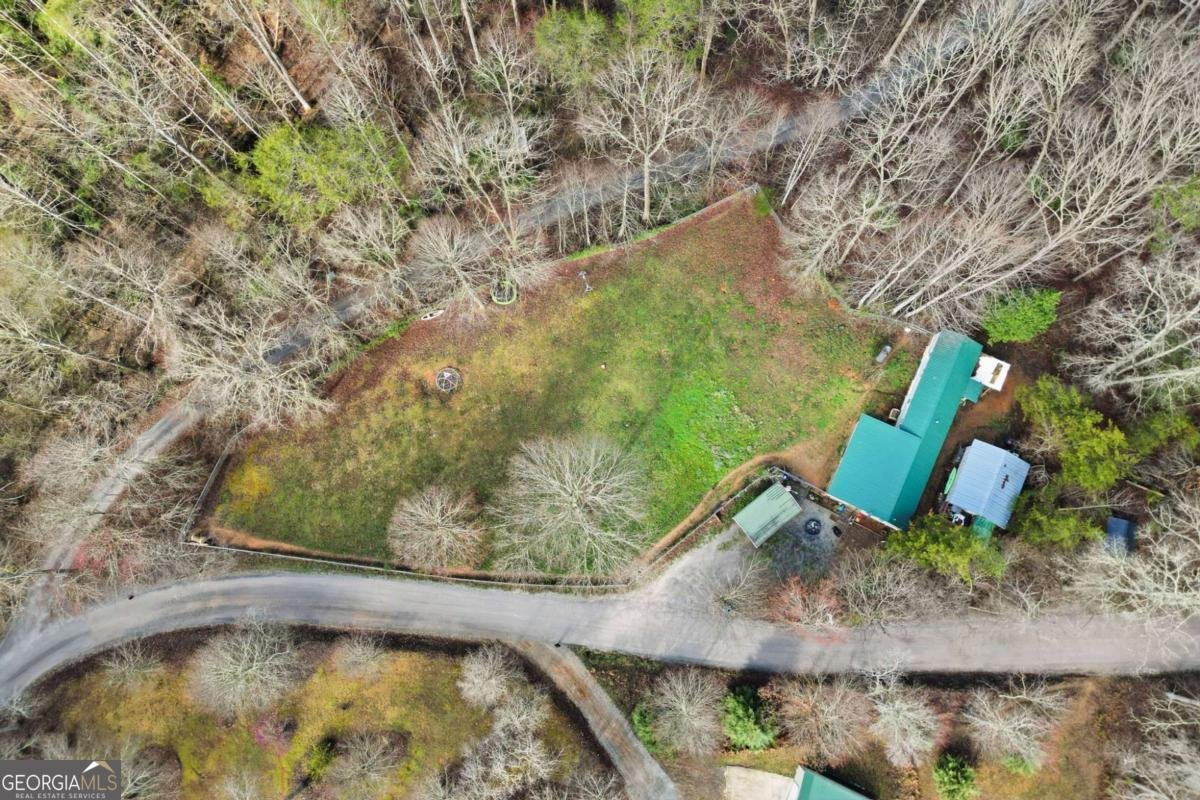 1344 Brookhaven Lane Blue Ridge - Photo 18