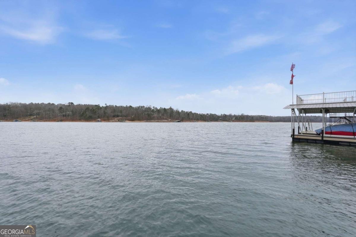 214 Sugar Cane Drive Hartwell - Photo 52