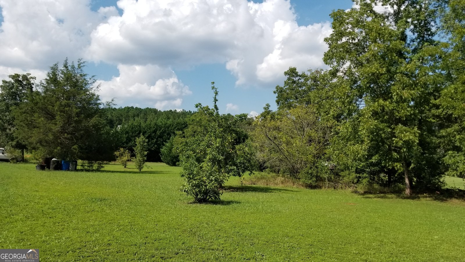 1193 New Hope Road Locust Grove - Photo 26
