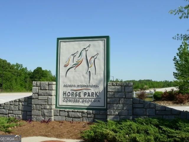 1064 Eastview Road Conyers - Photo 34