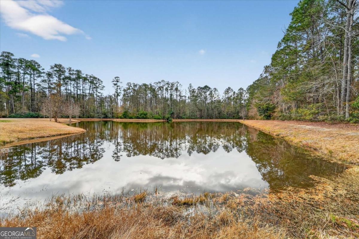 9 Summer Place Drive Guyton - Photo 41