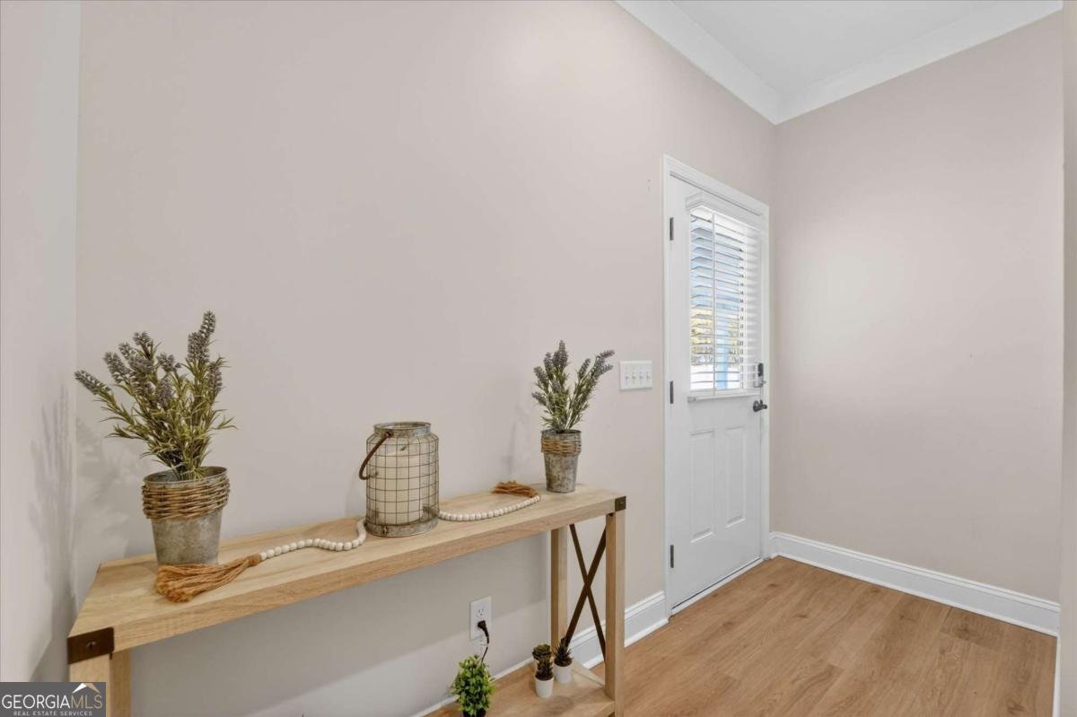 301 Ash Street Springfield - Photo 19