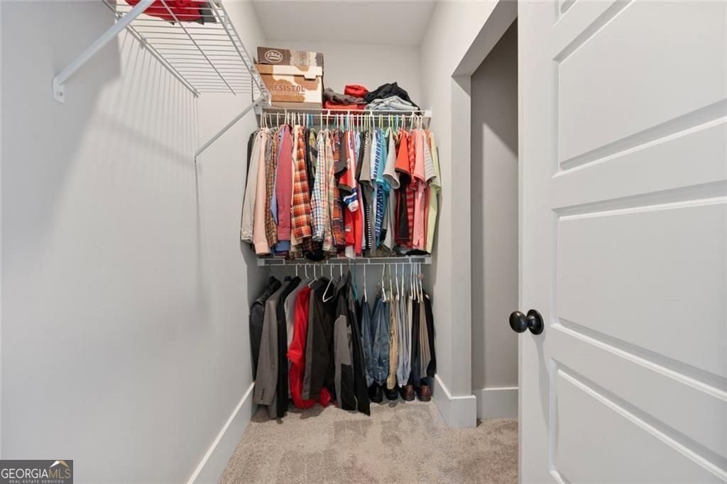 11700 Wildcat Bridge Road Danielsville - Photo 38