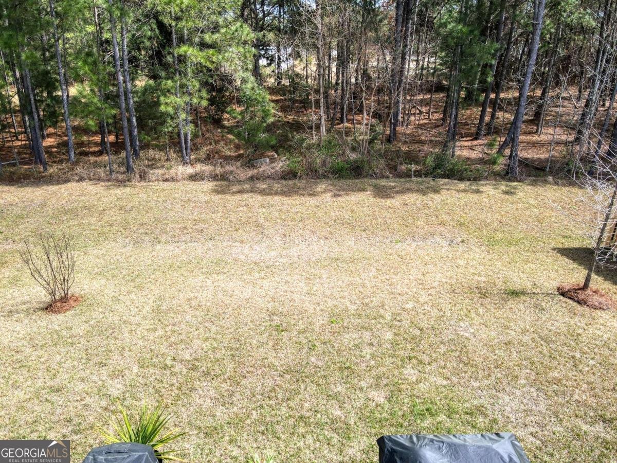 124 Brookline Drive Savannah - Photo 39