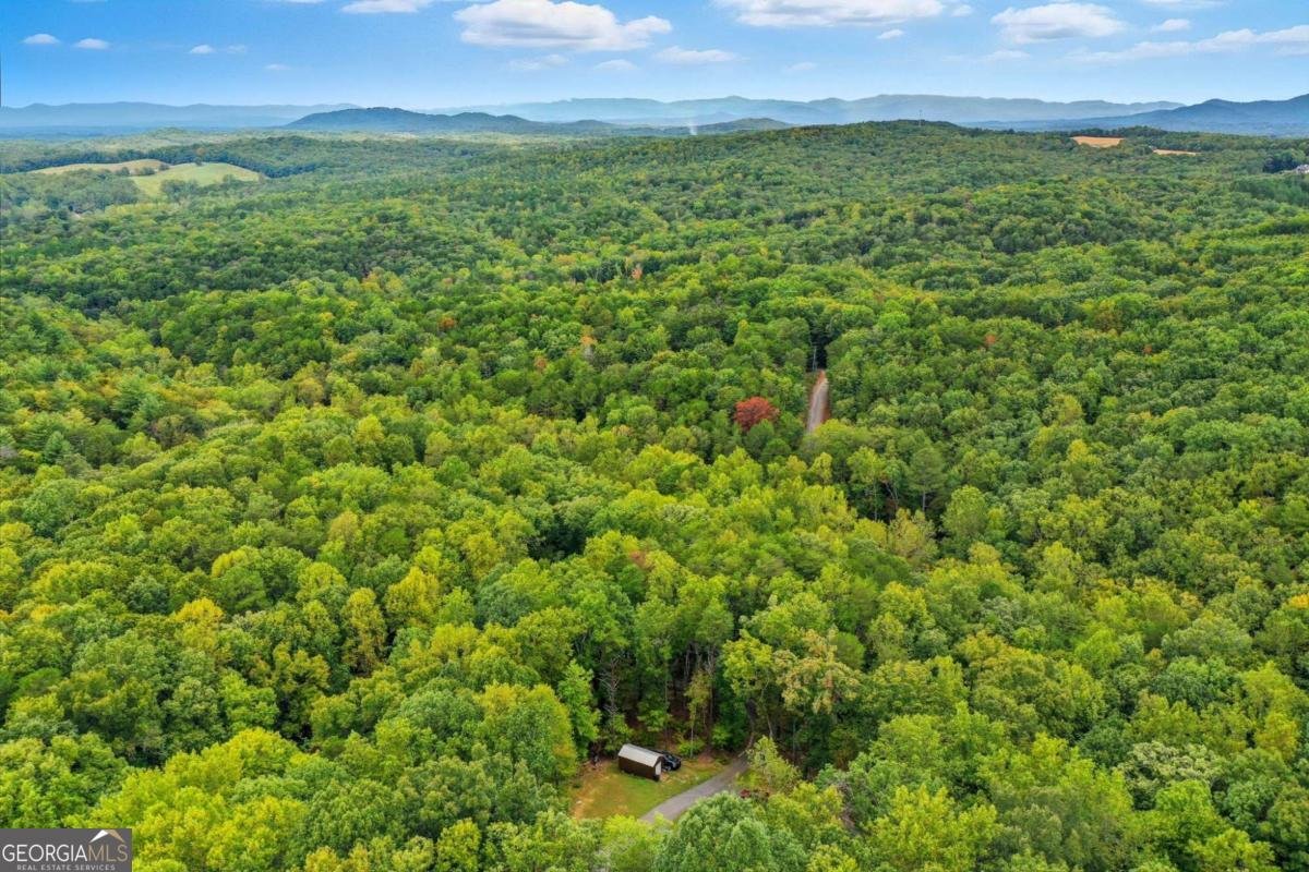 415 Woods Road Talking Rock - Photo 10