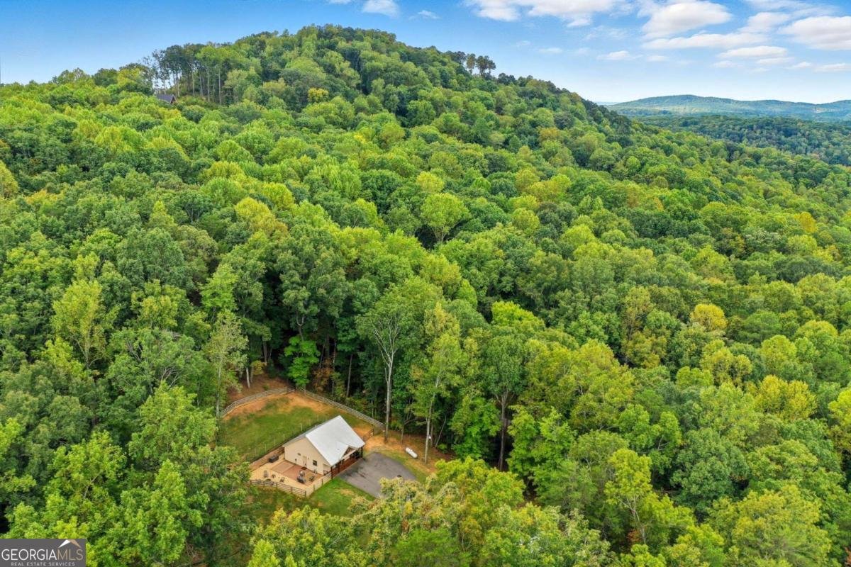 415 Woods Road Talking Rock - Photo 9