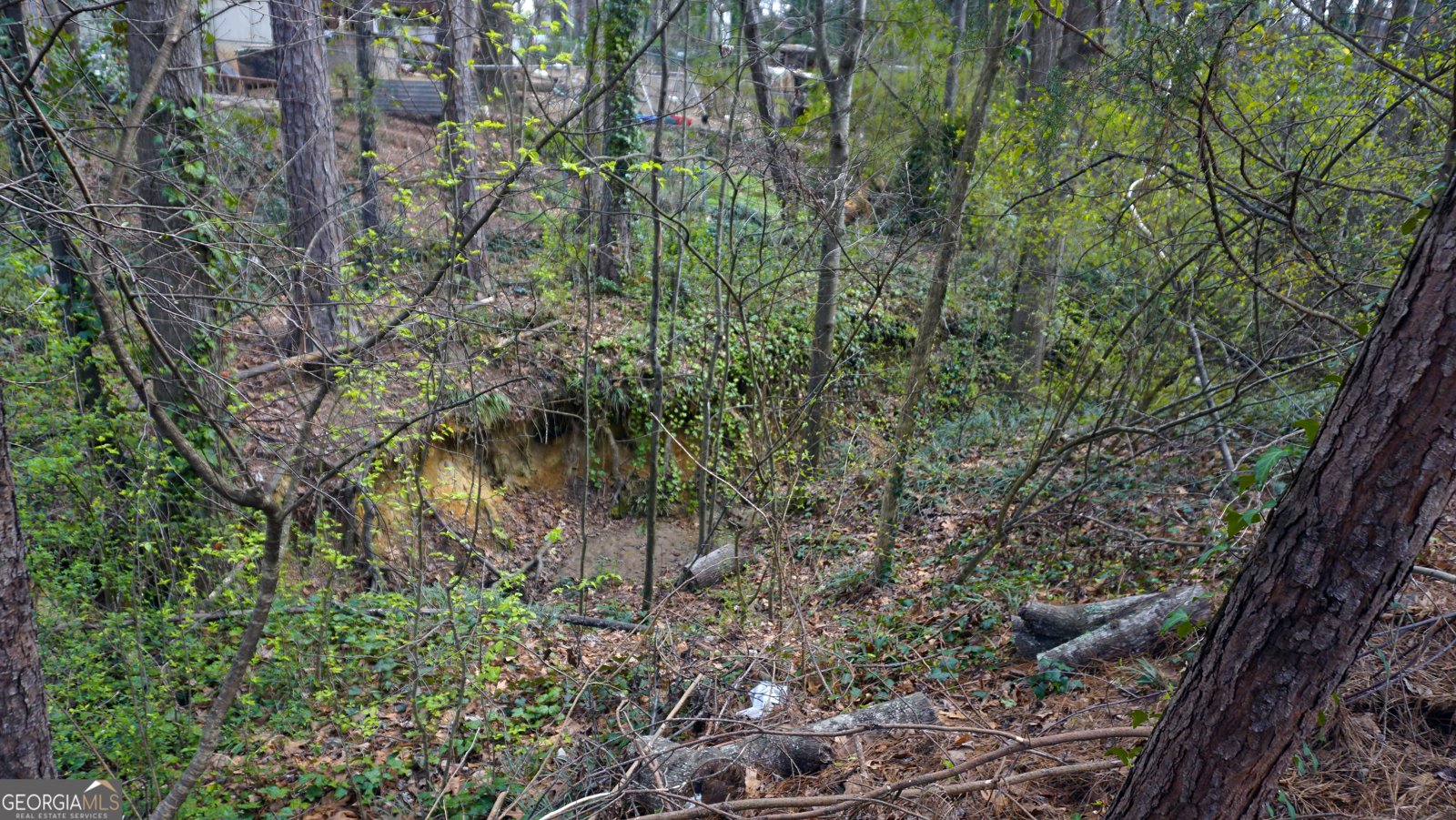 1504 Sugarplum Place Conyers - Photo 17