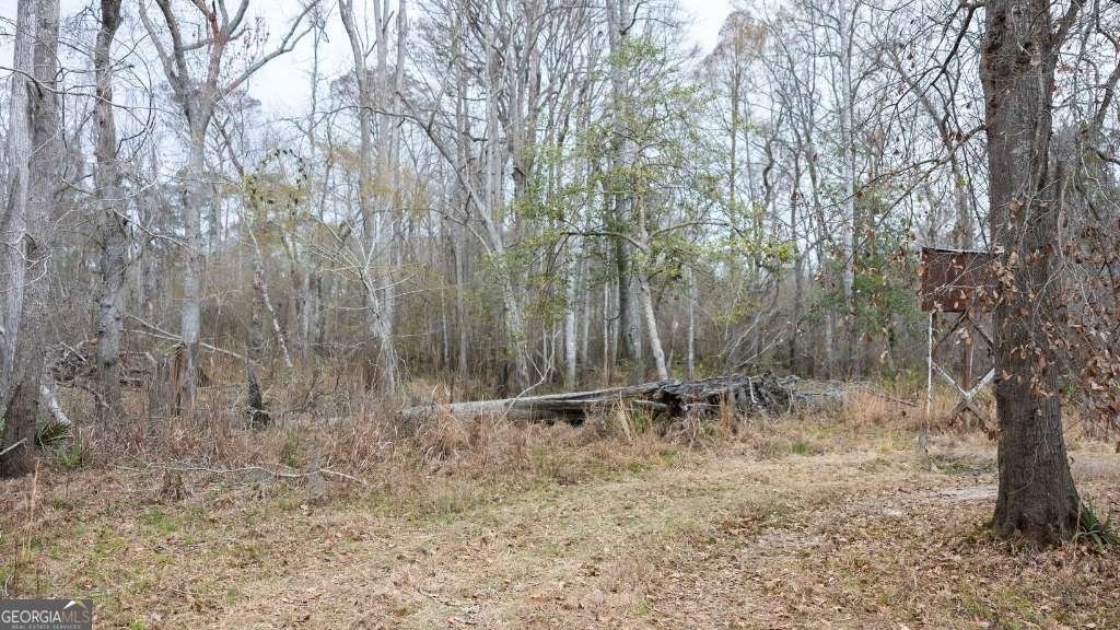 5230 Coleman Bridge SPUR Cobbtown - Photo 6