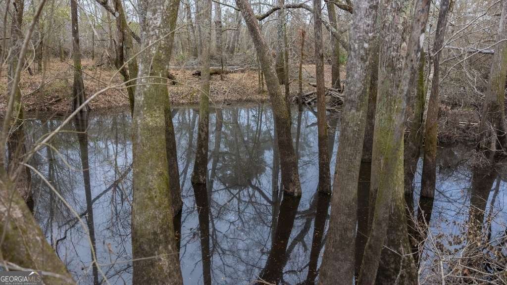 5230 Coleman Bridge SPUR Cobbtown - Photo 7