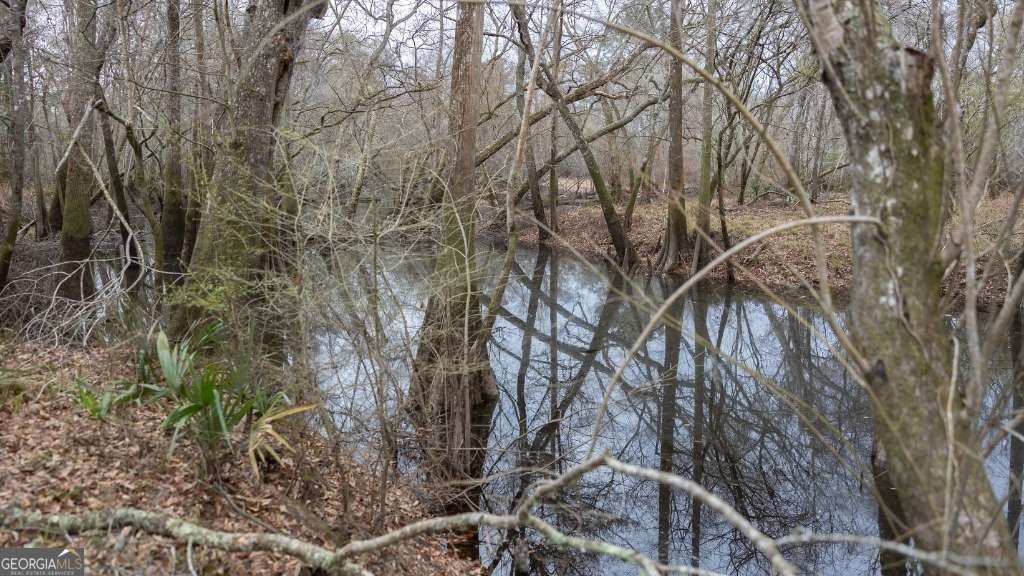 5230 Coleman Bridge SPUR Cobbtown - Photo 8