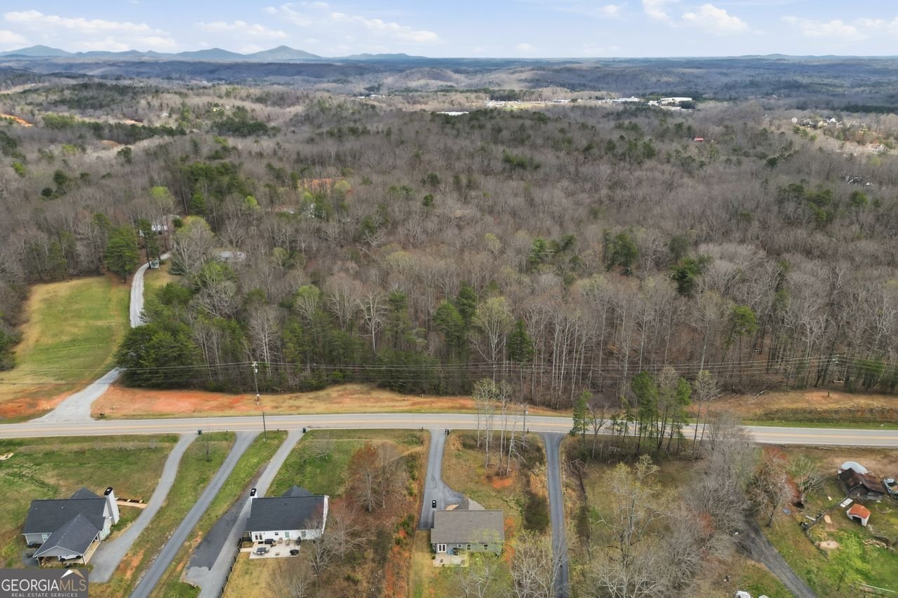 6842 Auraria Road Dawsonville - Photo 33