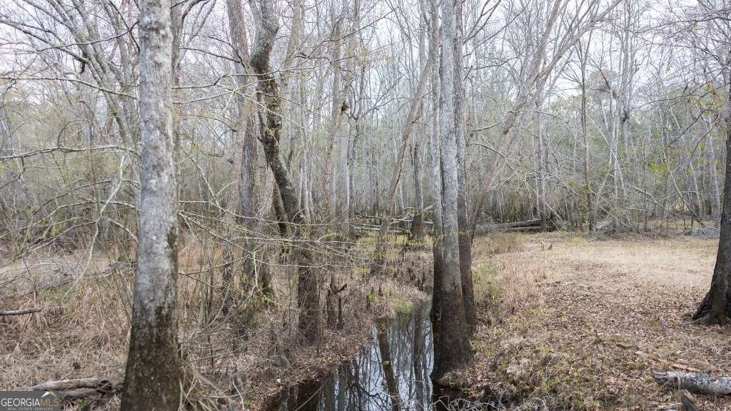 4980 Coleman Bridge SPUR Cobbtown - Photo 10