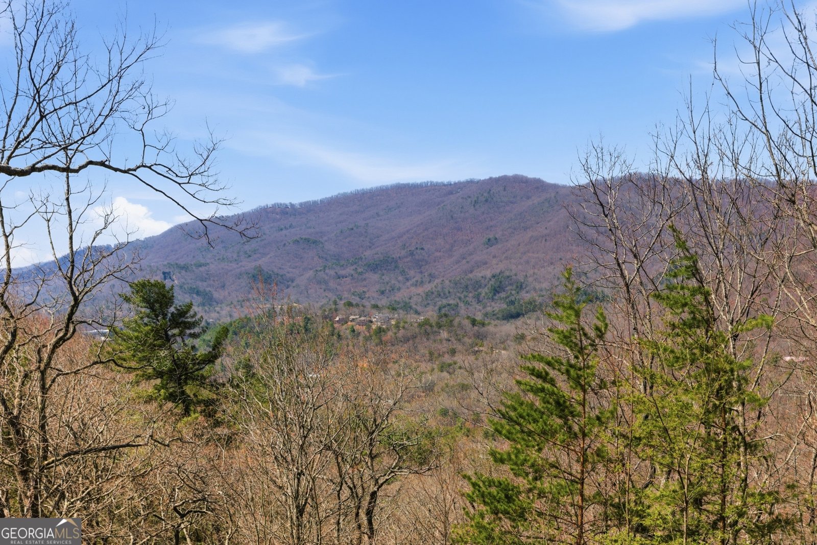 620 Courthouse Gap Road Clayton - Photo 36