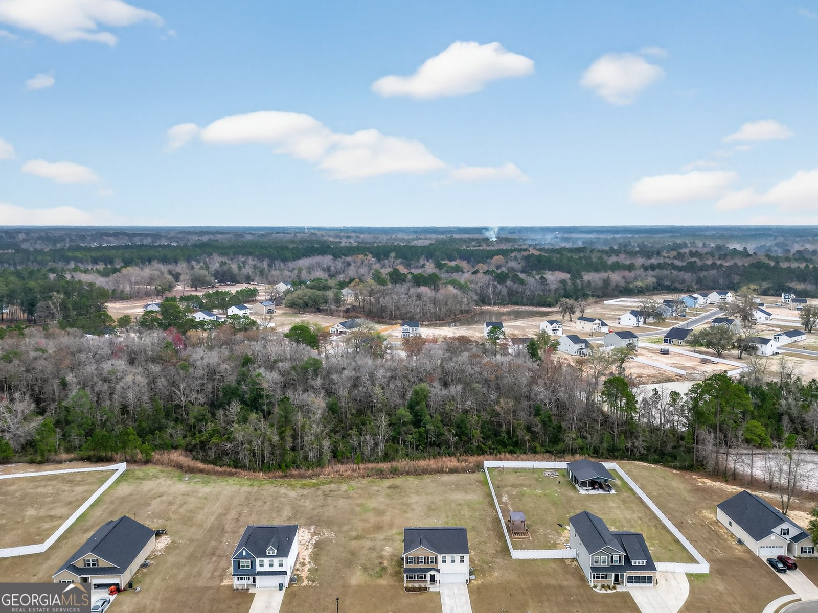 99 Blueberry Court Ludowici - Photo 47