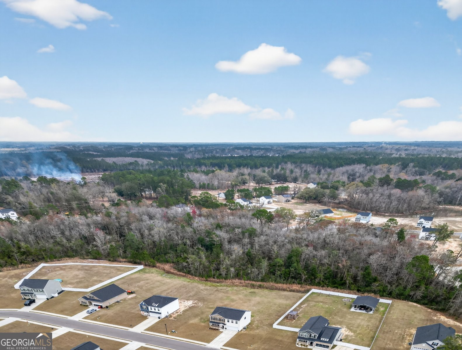 99 Blueberry Court Ludowici - Photo 48