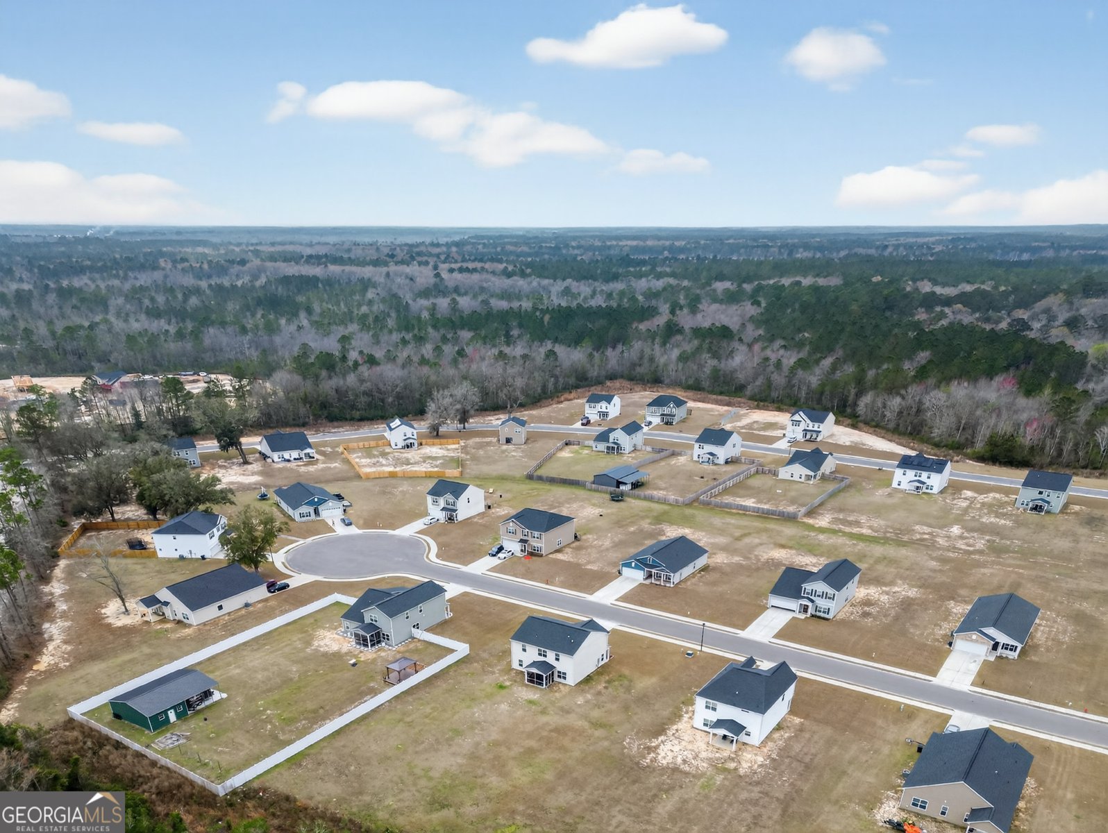 99 Blueberry Court Ludowici - Photo 49