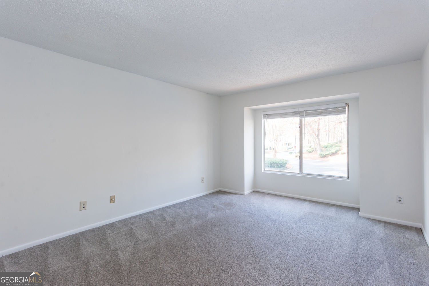 46 Little Silver Court Smyrna - Photo 12