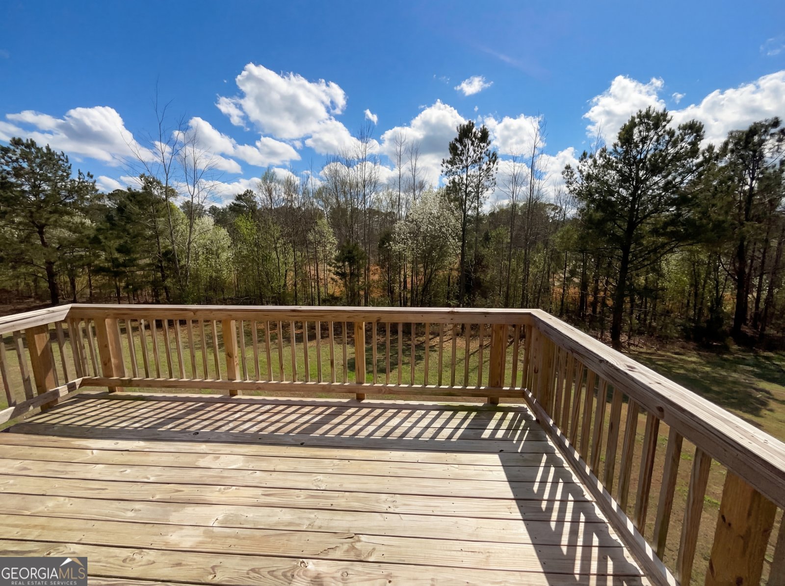 161 Donovan Avenue Locust Grove - Photo 14