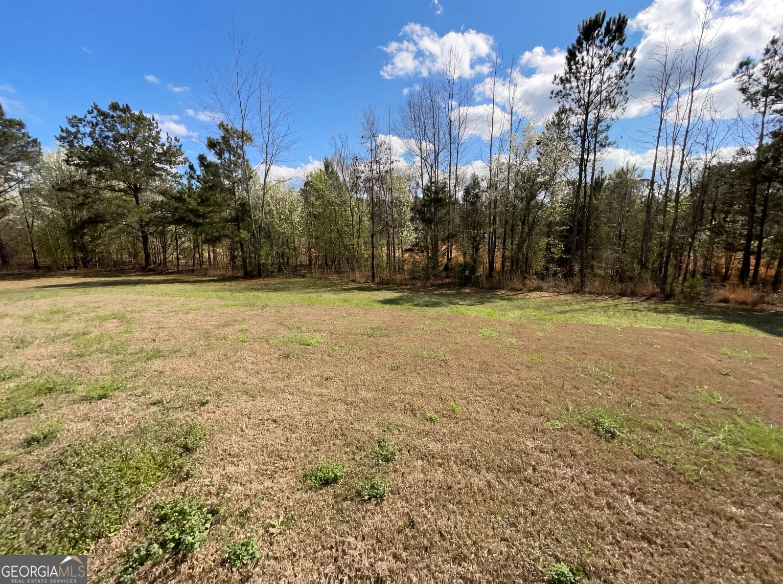 161 Donovan Avenue Locust Grove - Photo 34