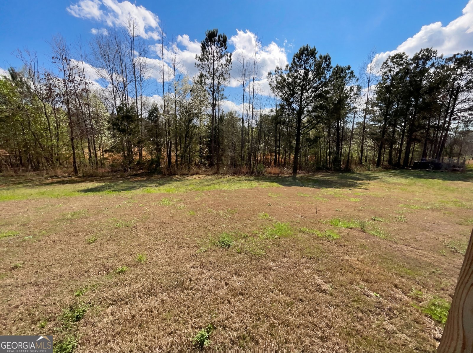 161 Donovan Avenue Locust Grove - Photo 35