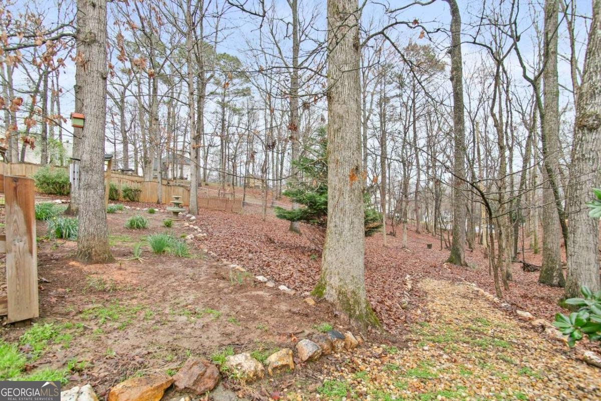 308 Saddle Wood Drive Canton - Photo 46