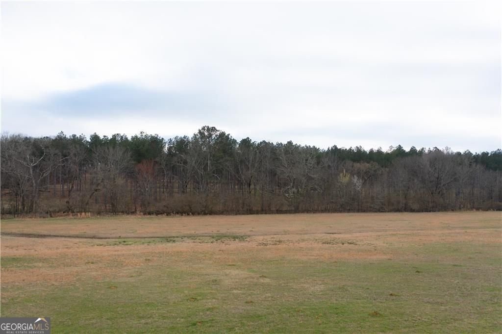 1331 Barrows Grove Road Madison - Photo 35