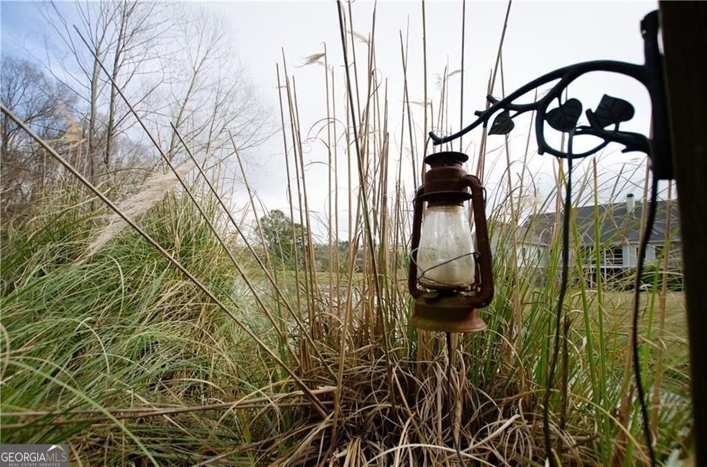 1331 Barrows Grove Road Madison - Photo 41