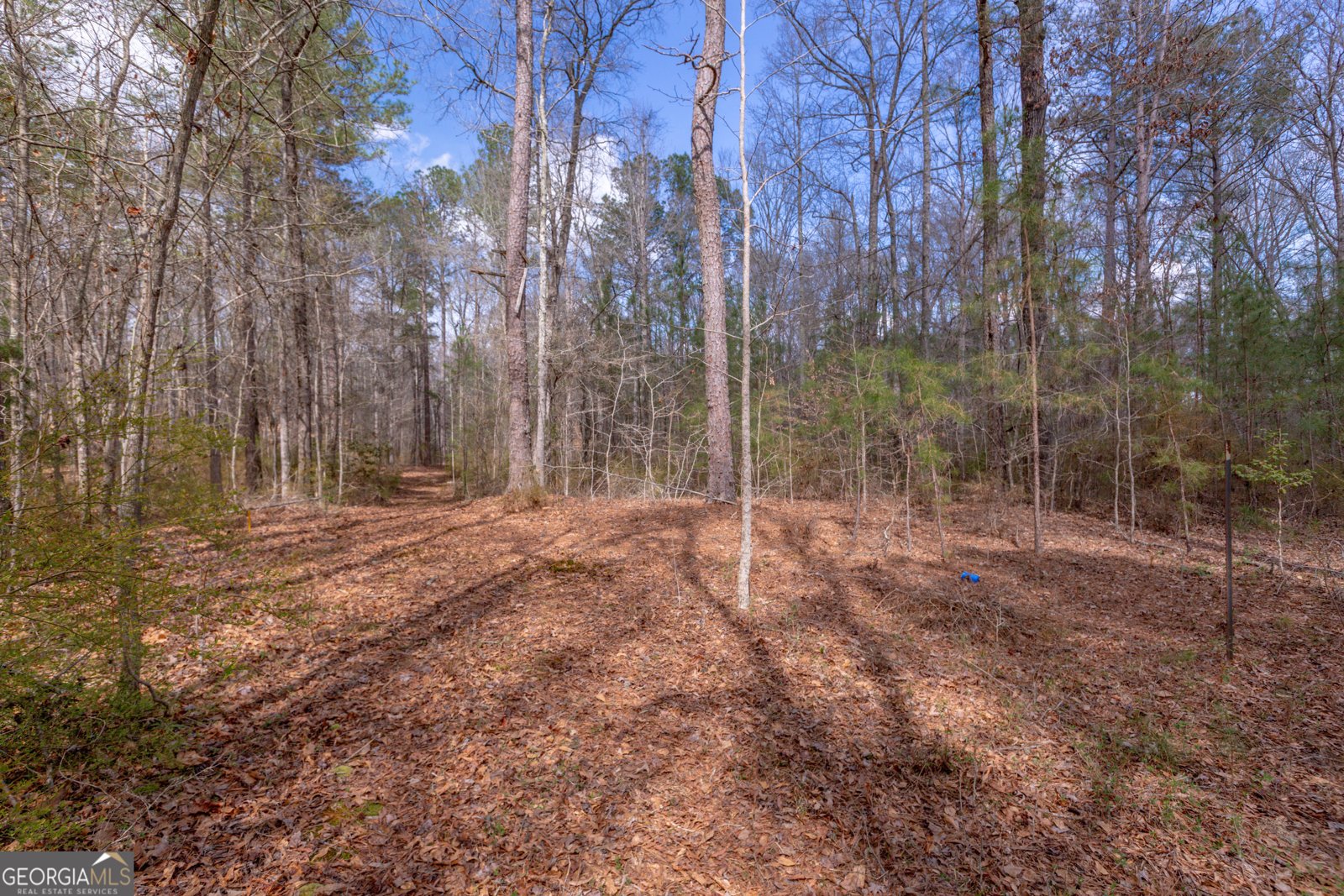 1583 Sullivan Mill Road Senoia - Photo 54