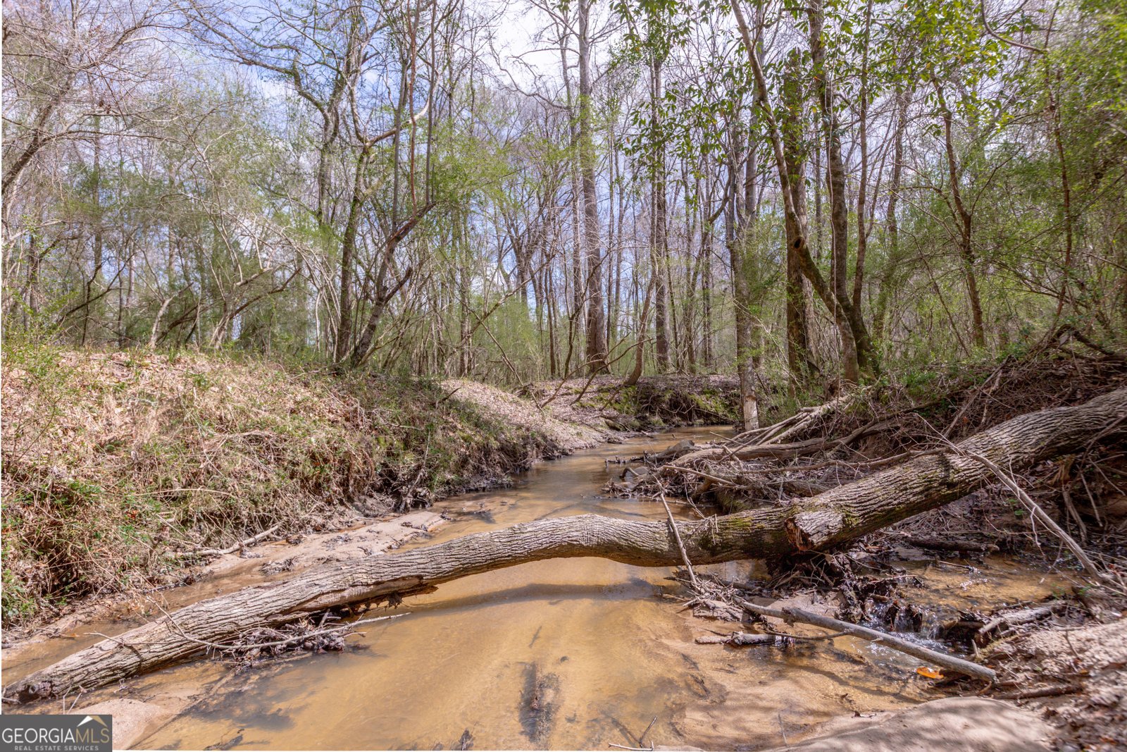 1583 Sullivan Mill Road Senoia - Photo 55