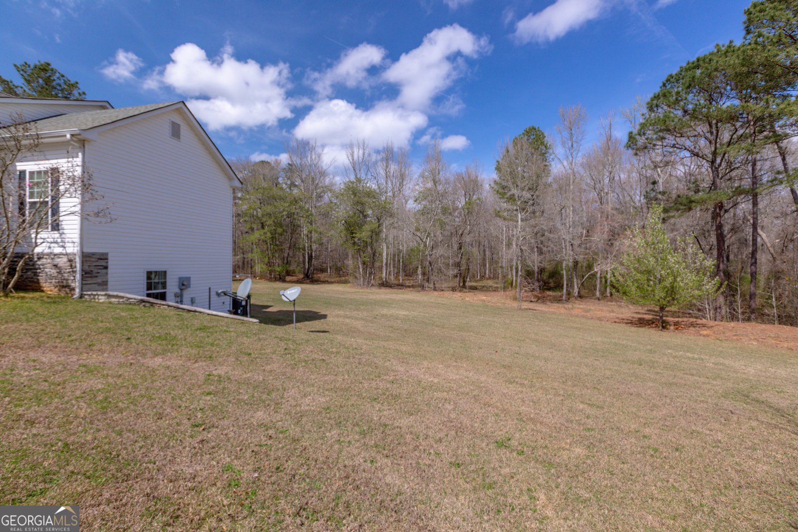 1583 Sullivan Mill Road Senoia - Photo 8