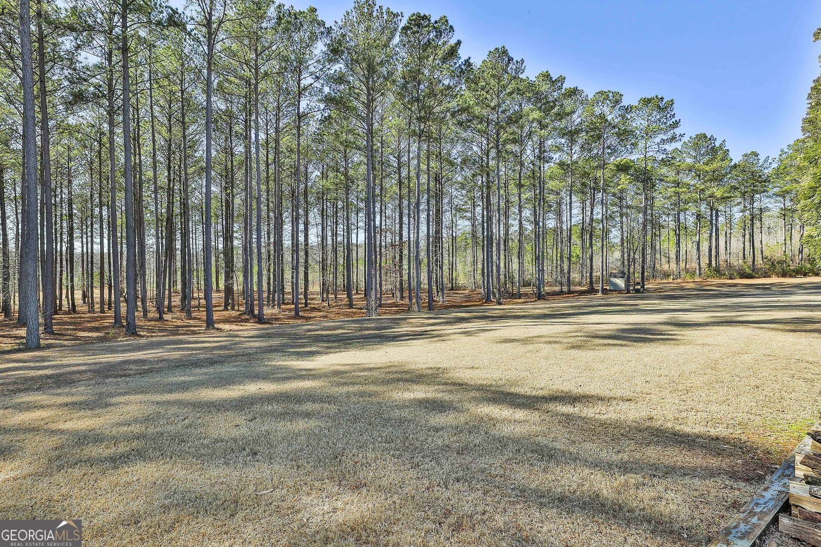 2161 Bear Creek Road Moreland - Photo 119