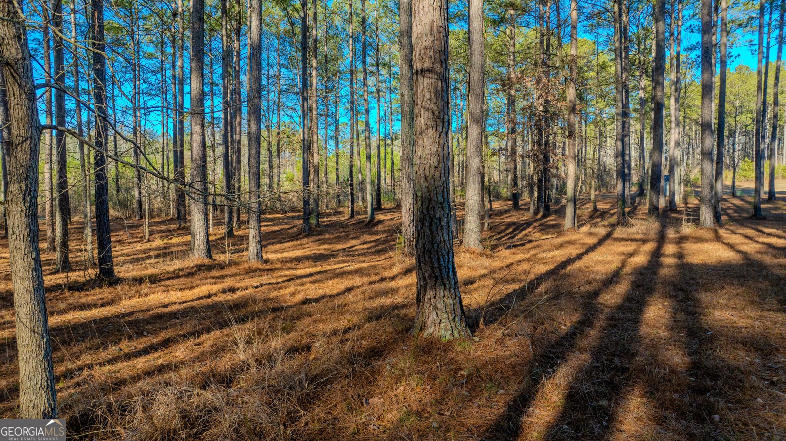 2161 Bear Creek Road Moreland - Photo 125