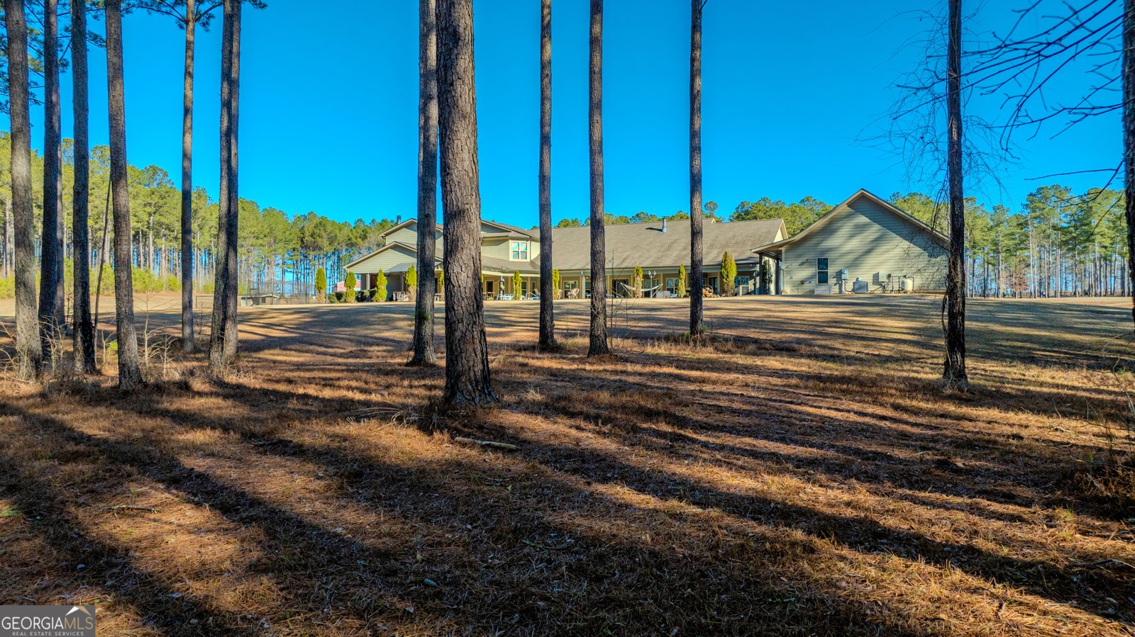 2161 Bear Creek Road Moreland - Photo 126