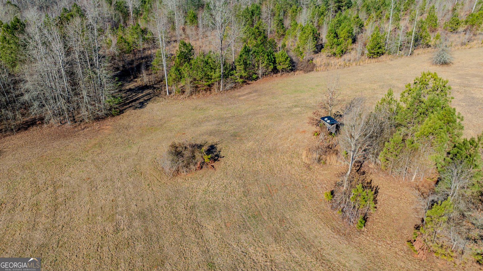 2161 Bear Creek Road Moreland - Photo 130