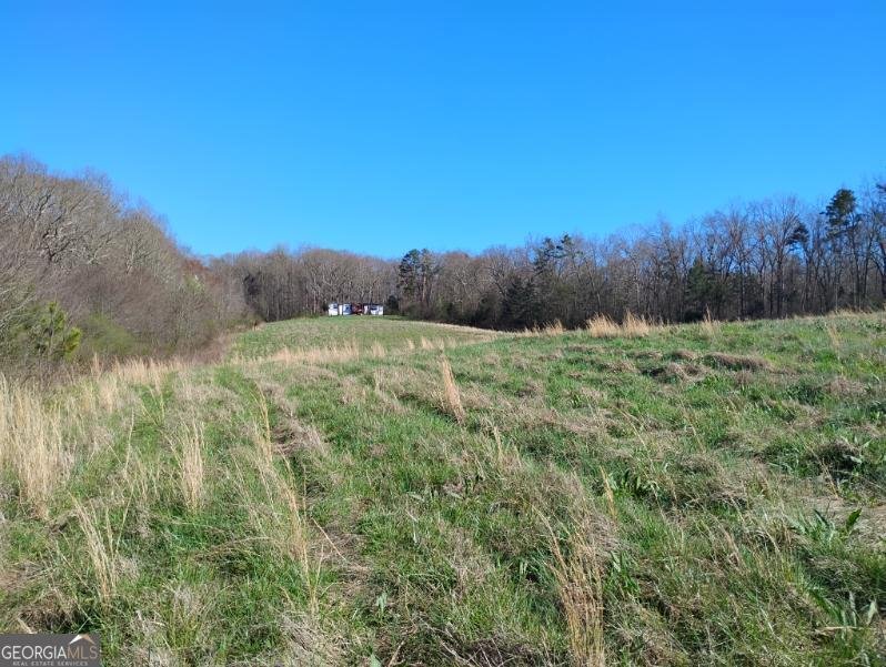 2331 Kesler Rd Carnesville - Photo 10