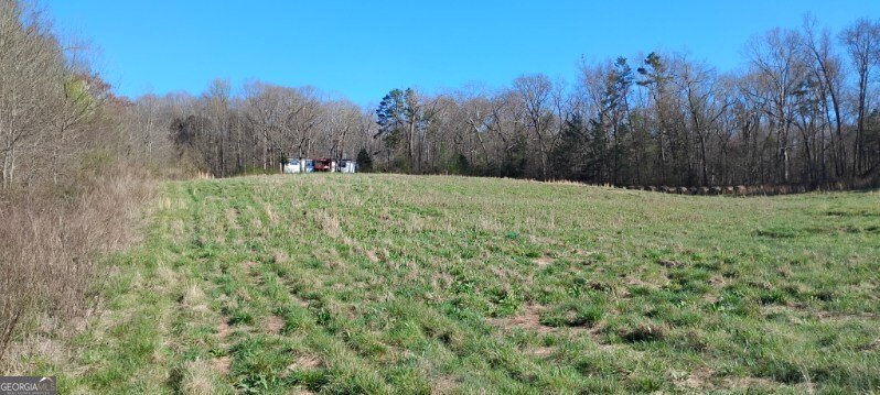 2331 Kesler Rd Carnesville - Photo 11