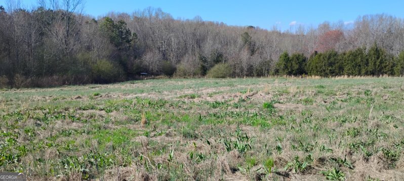 2331 Kesler Rd Carnesville - Photo 12