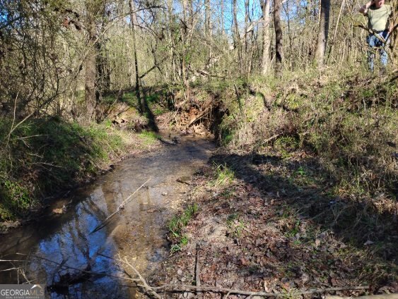 2331 Kesler Rd Carnesville - Photo 16