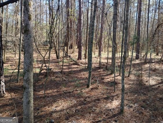 2331 Kesler Rd Carnesville - Photo 18