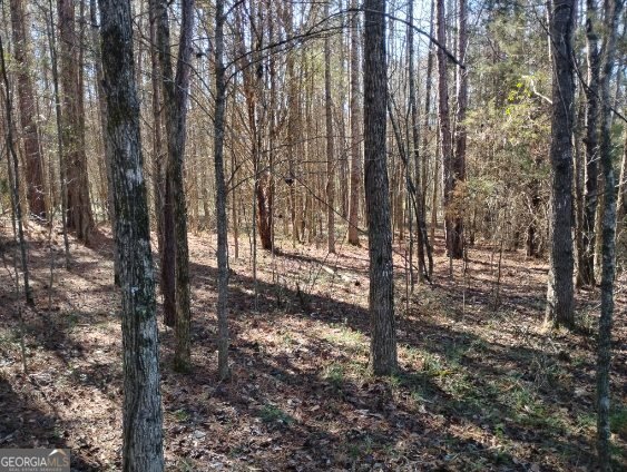 2331 Kesler Rd Carnesville - Photo 19